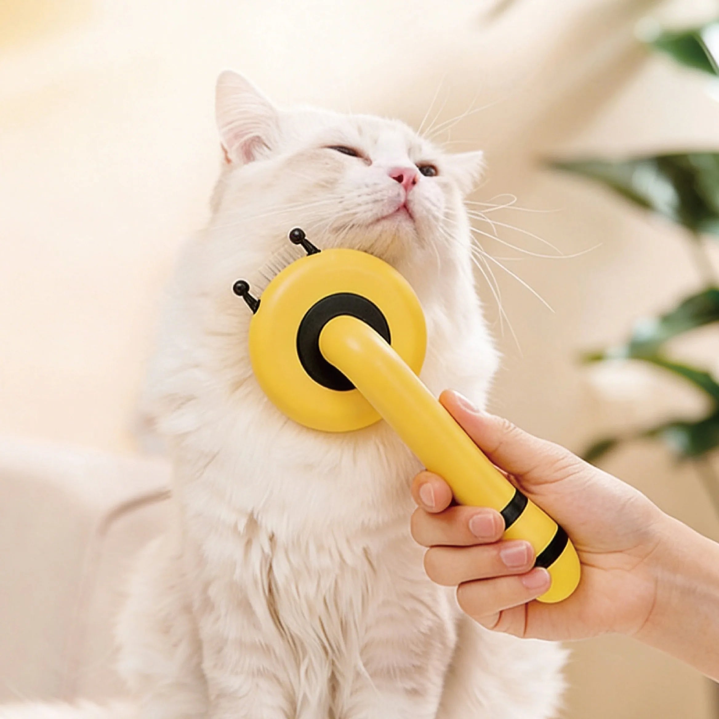 Pet Grooming Brush One Click Hair Removal Silicone Tip Massage Comb for Long and Short Coat