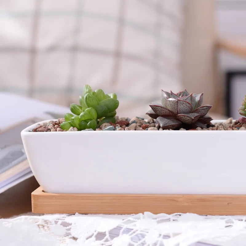 Long White Ceramic Succulent Planter with Bamboo Tray Rectangular Cactus Flower Pot for Desktop Decor