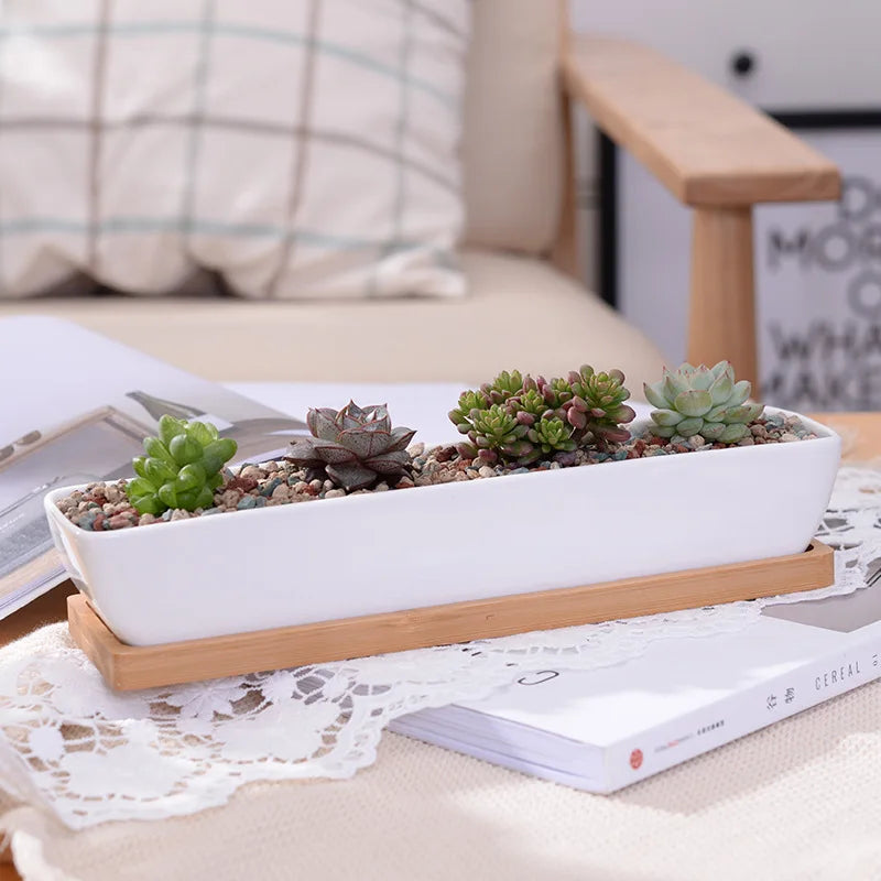 Long White Ceramic Succulent Planter with Bamboo Tray Rectangular Cactus Flower Pot for Desktop Decor