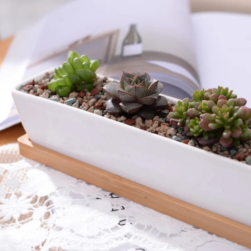 Long White Ceramic Succulent Planter with Bamboo Tray Rectangular Cactus Flower Pot for Desktop Decor