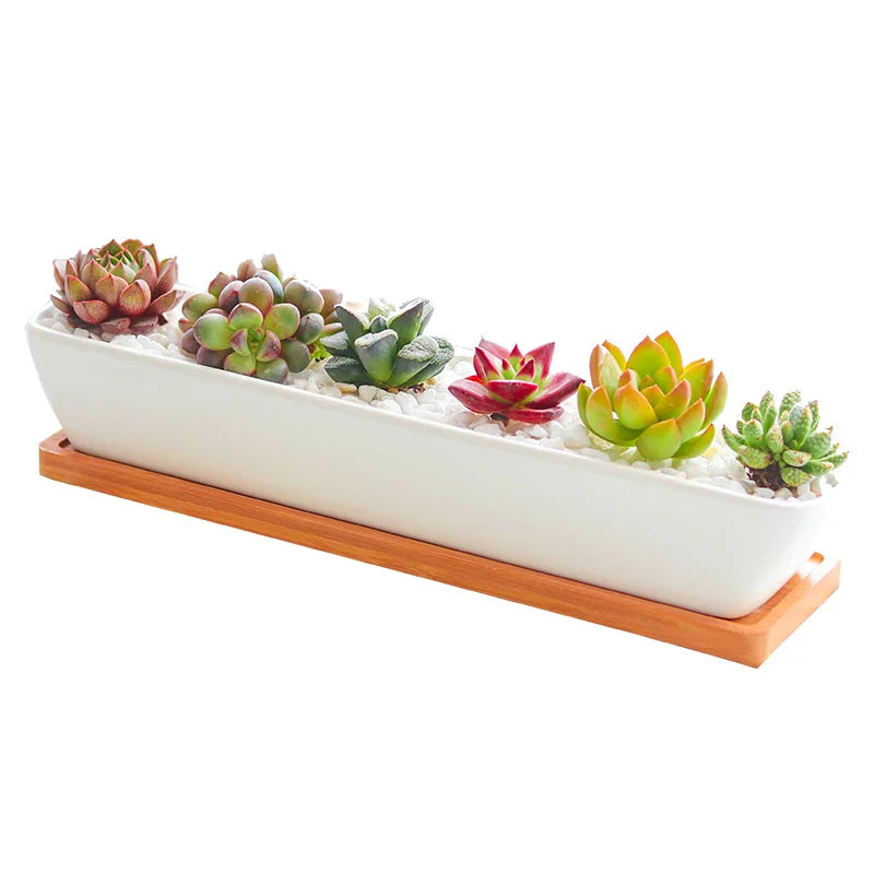 Long White Ceramic Succulent Planter with Bamboo Tray Rectangular Cactus Flower Pot for Desktop Decor