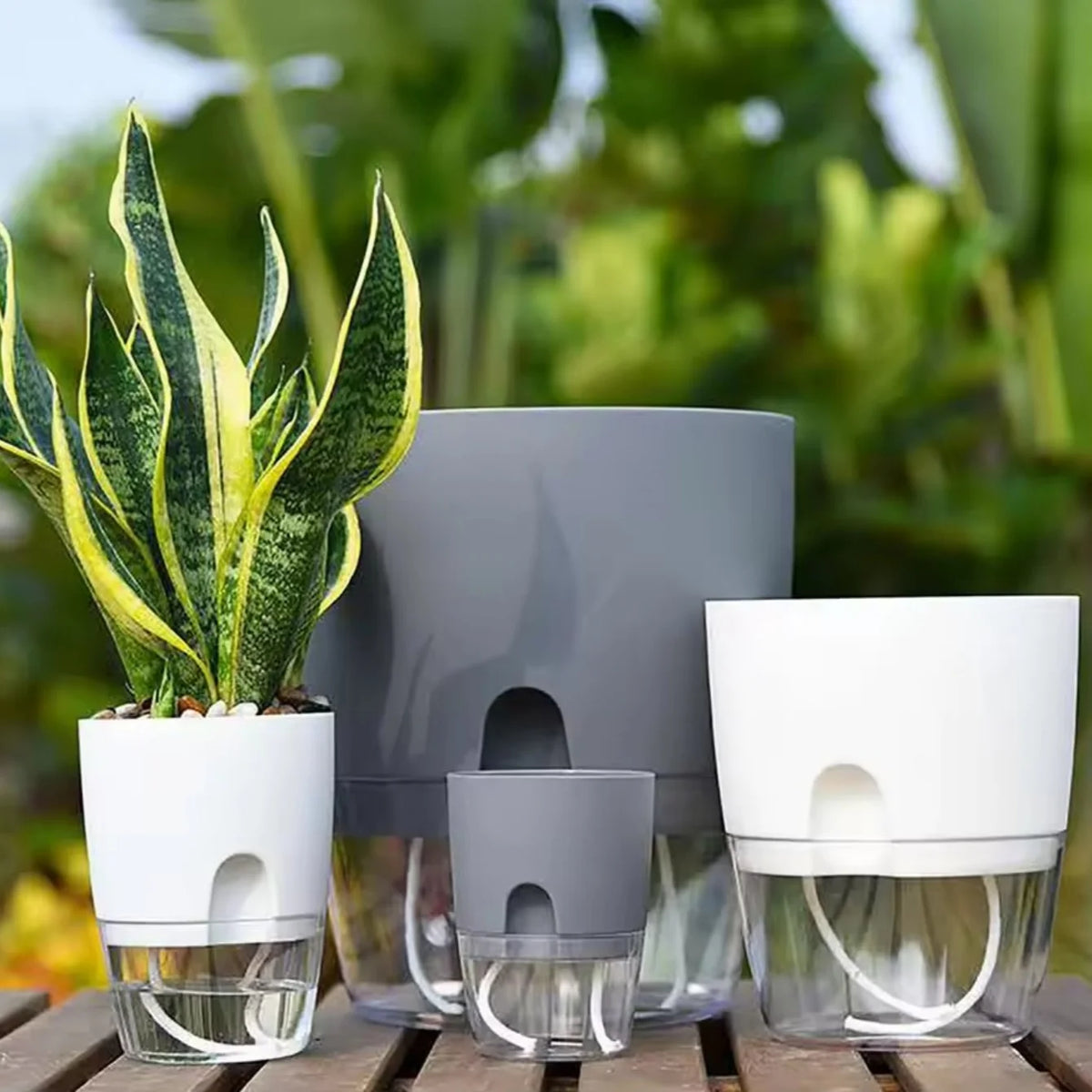 5Pcs Self Watering Planters Large L Wicking Flower Pots With Watering Bottle - White