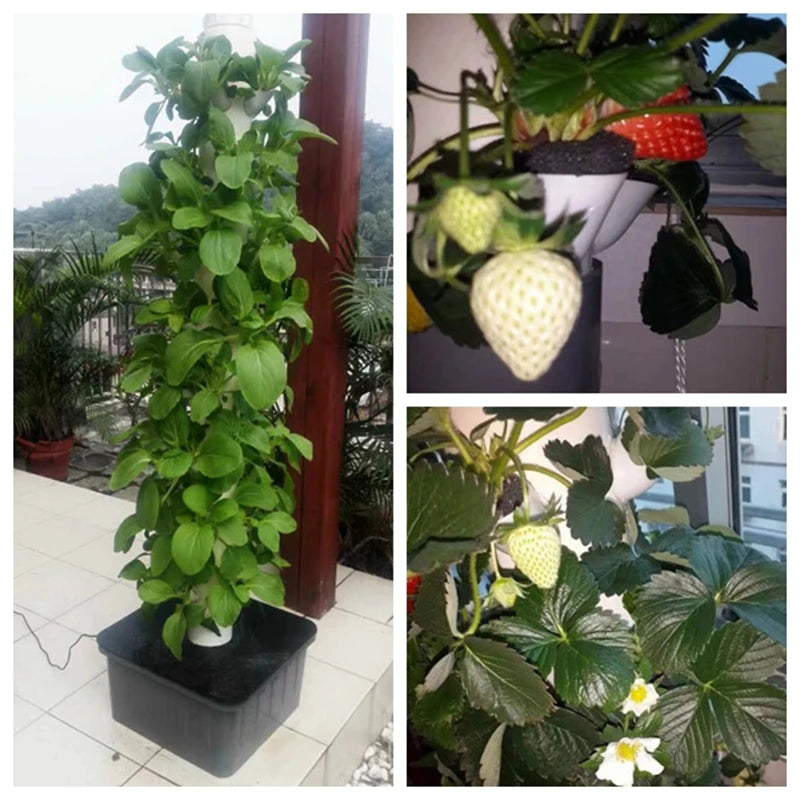 Hydroponic Growing System 5 Tier Vertical Vegetable Planter Tower
