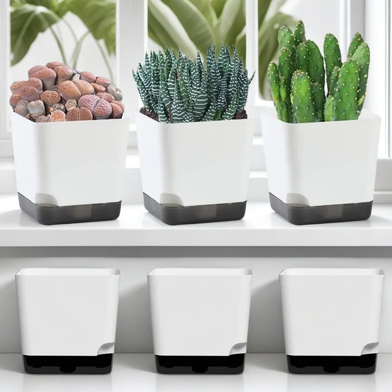 5 Pack Large Self Watering Plant Pots with Drainage Hole and Clear Reservoir Saucers