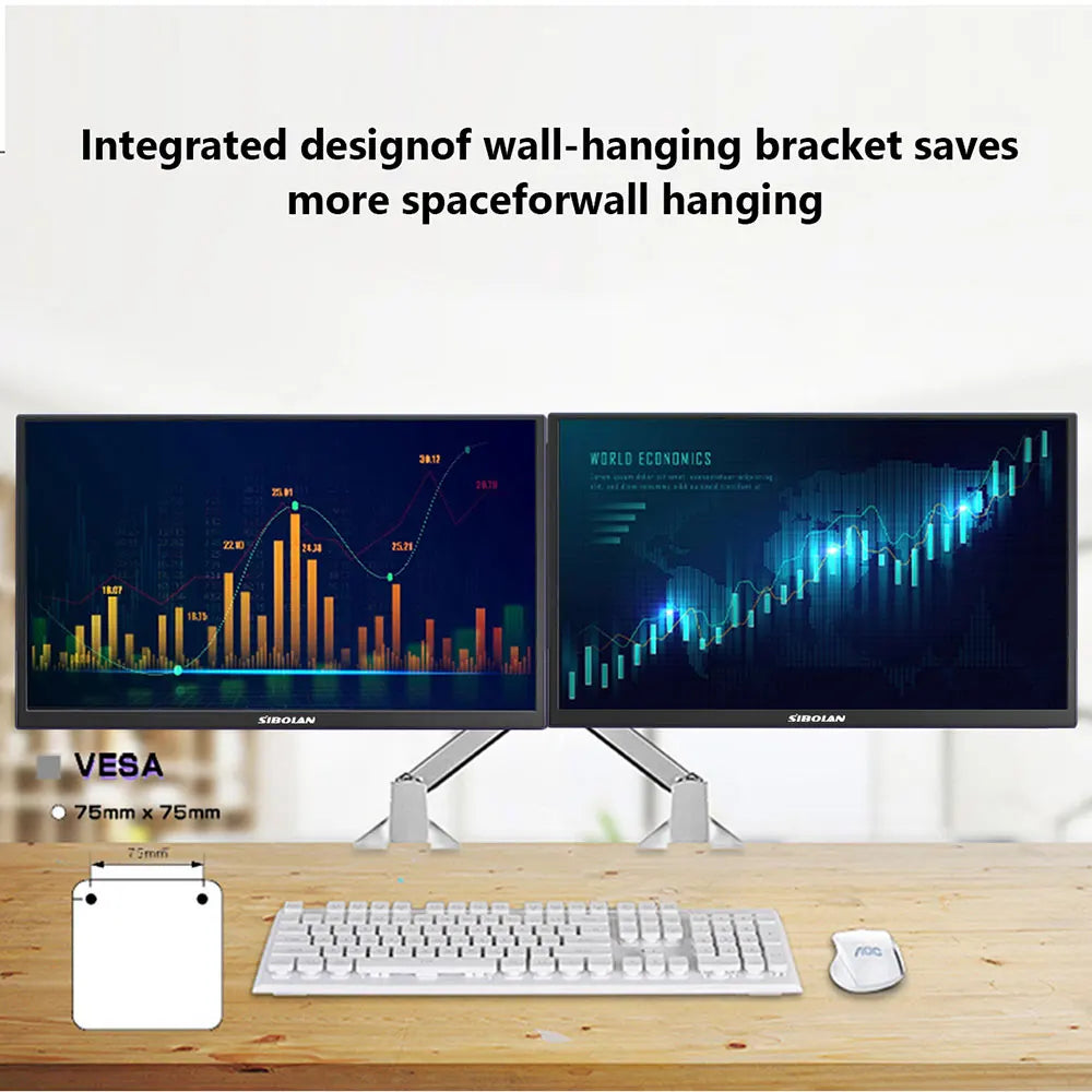 Portable Monitor 24.5 Inch 2.5K 165Hz IPS Gaming Display USB-C HDMI – Black