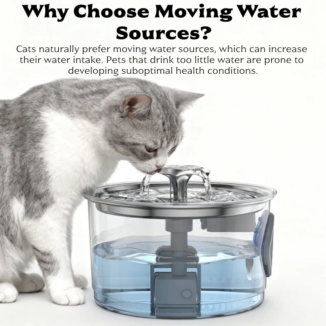 Pet Water Fountain 2.8 L Stainless Steel Cat Dog Drinker with 6 Filters - Silver
