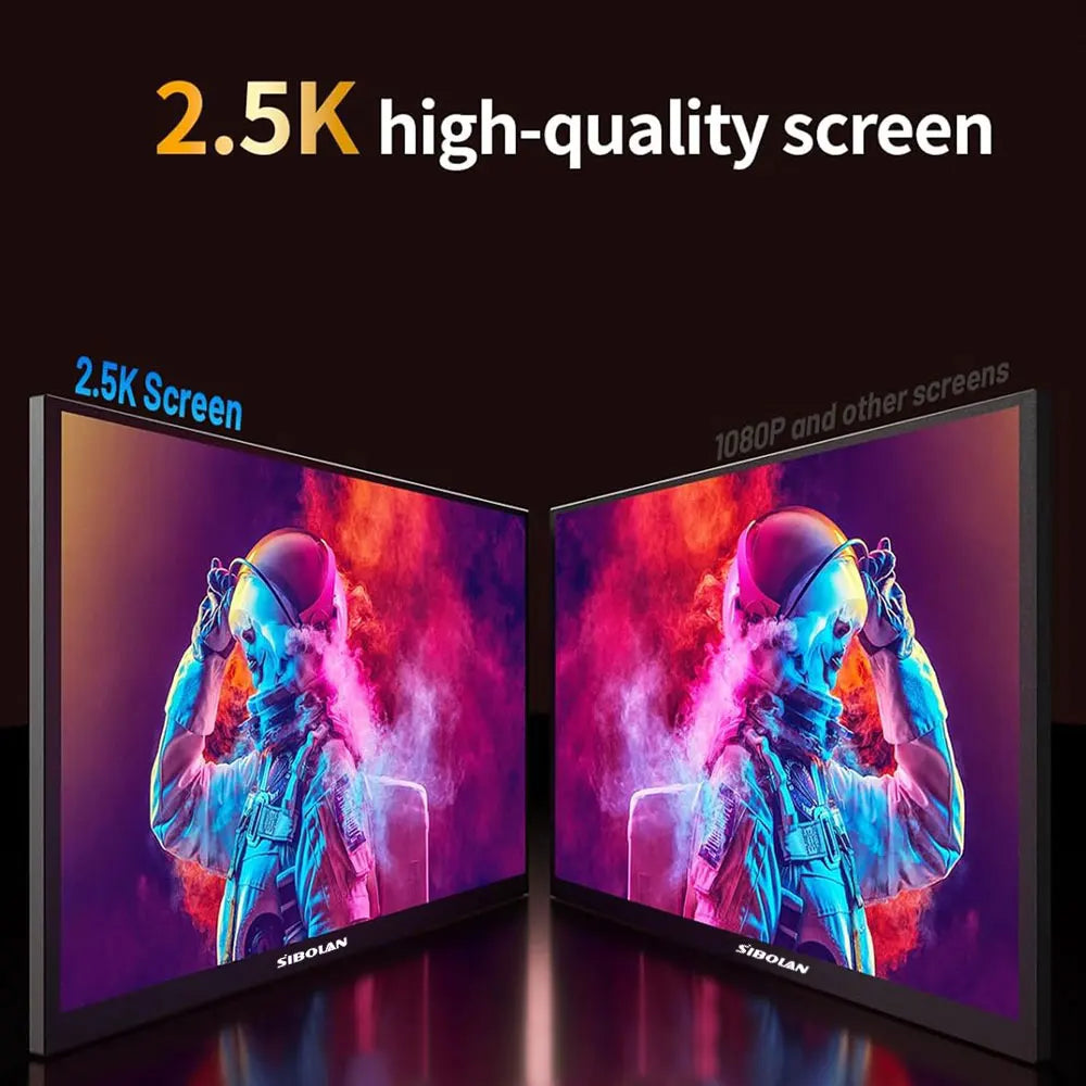 Portable Monitor 24.5 Inch 2.5K 165Hz IPS Gaming Display USB-C HDMI – Black