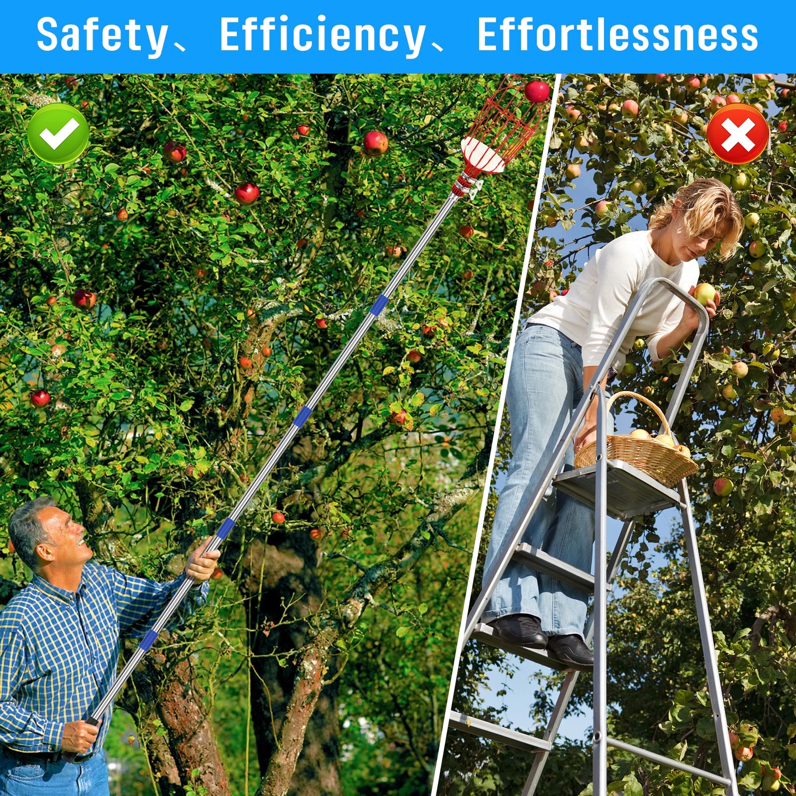 13 FT Adjustable Fruit Picker Pole with Basket – Lightweight Tree Harvester