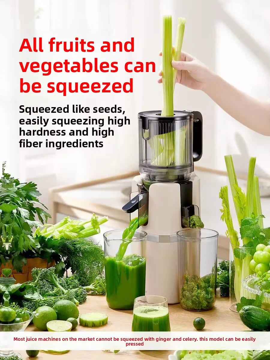 Slow Juicer 200W Wide Mouth Cold Press Fruit and Vegetable Extractor with Pulp Separation – Black