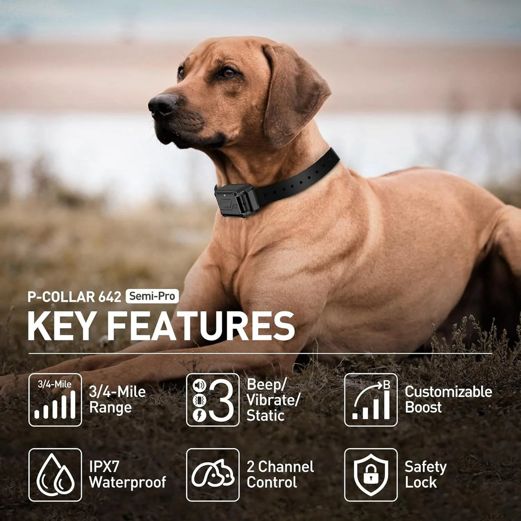 Dog Training Collar Rechargeable Waterproof Remote Trainer 600 m Range with Adjustable Beep and Vibration - Dual