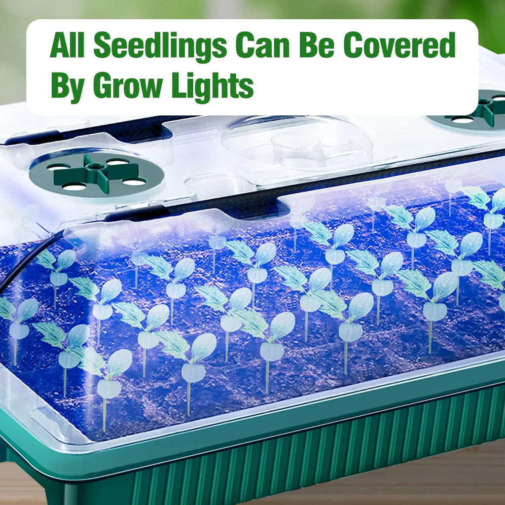 2-Pack Seed Starter Trays 80 Cells with LED Grow Lights Smart Timer 3 Modes for Home Gardening
