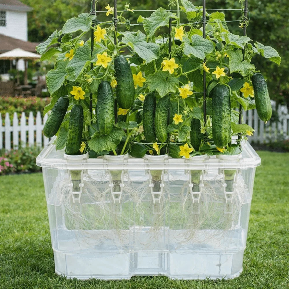 15 Hole Hydroponic Growing System Kit Split Design Indoor Germination Box with Planting Baskets – Black