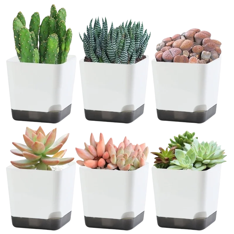 5 Pack Large Self Watering Plant Pots with Drainage Hole and Clear Reservoir Saucers