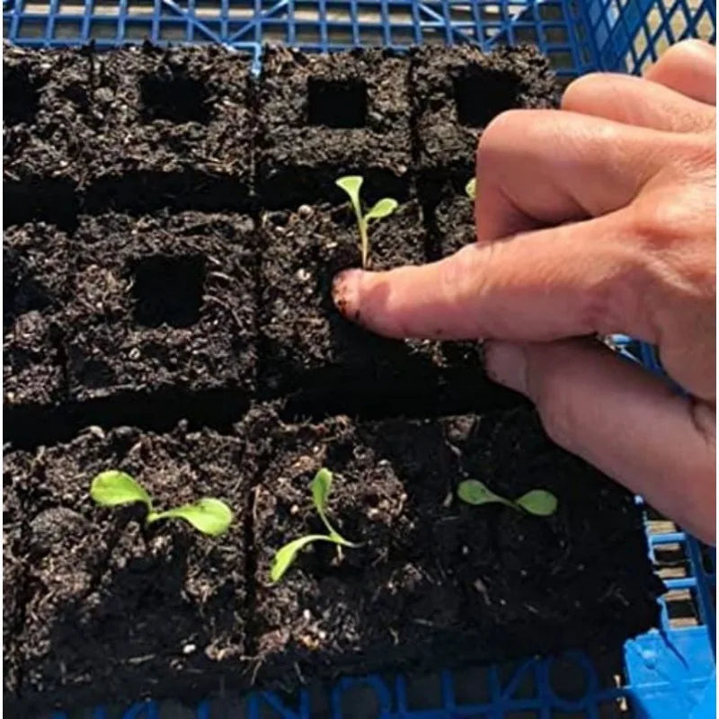 Mini Soil Block Maker Manual Seedling Starter Tool Set with Seed Dibbles and Grow Tweezers