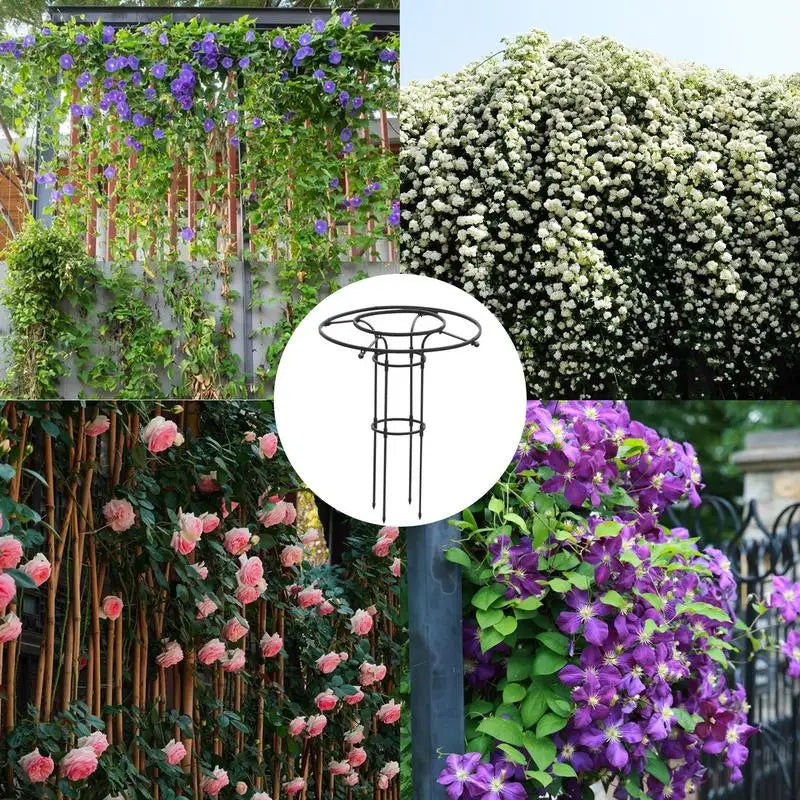 Vertical Garden Trellis Metal Wire Stake – Rust-Proof Plant Support Frame for Houseplants – 180cm