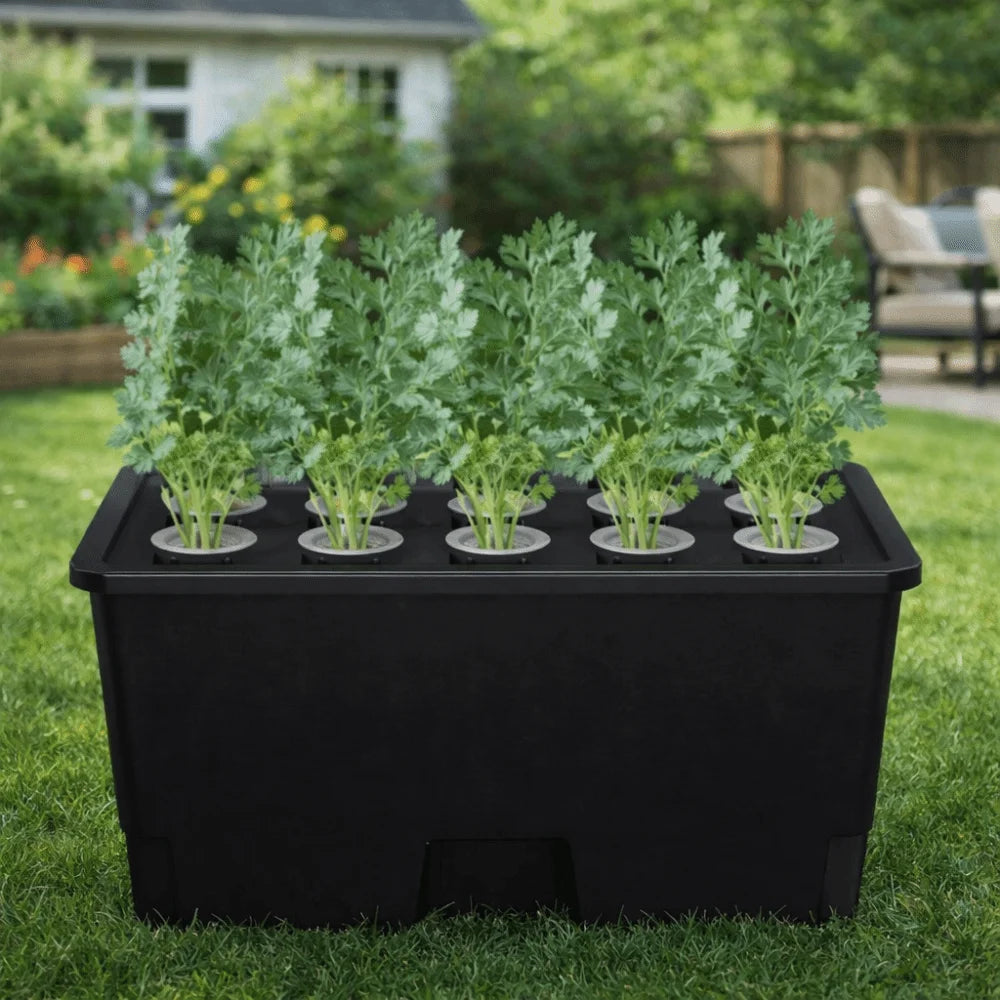 15 Hole Hydroponic Growing System Kit Split Design Indoor Germination Box with Planting Baskets – Transparent