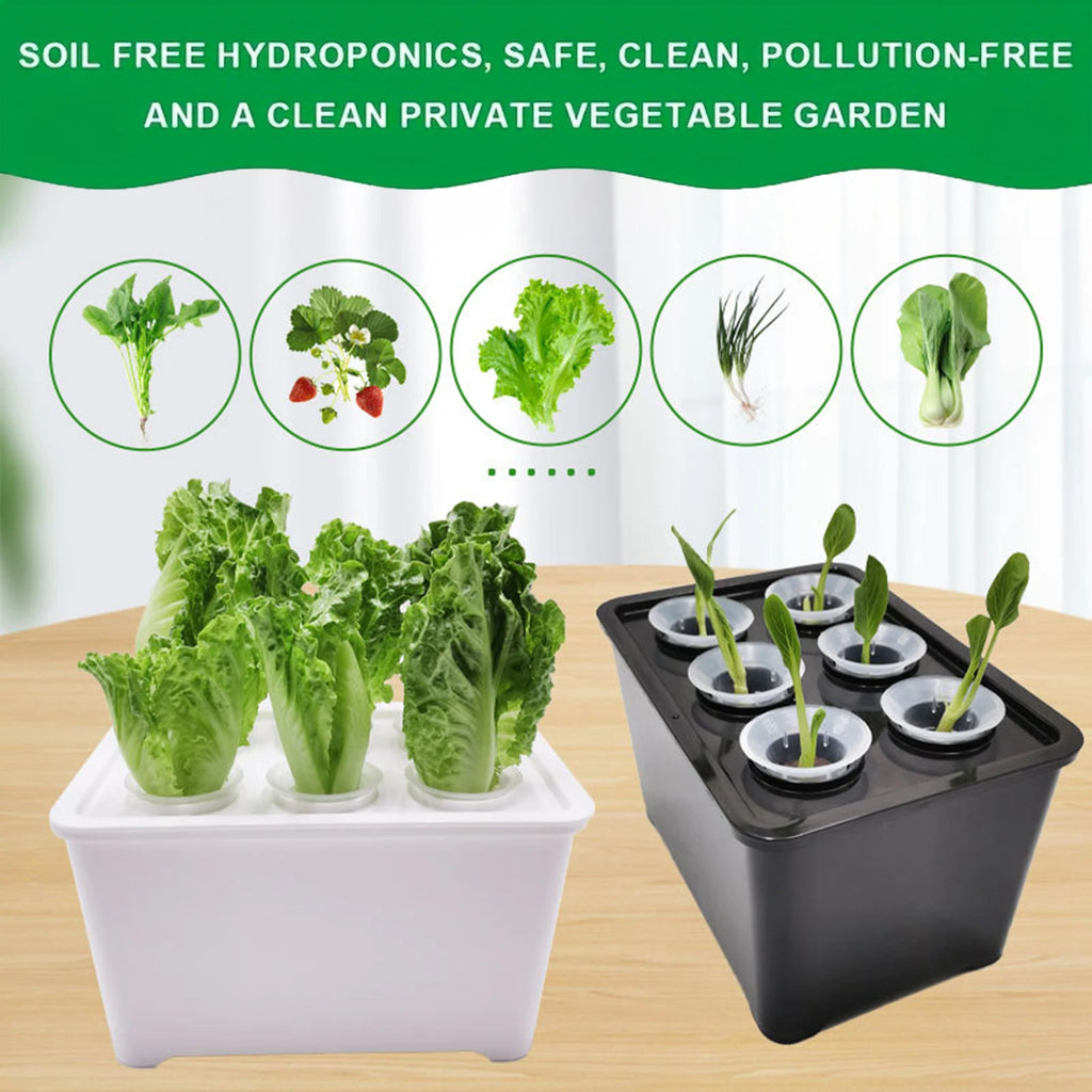 4Pcs Hydroponic Grower Box With Lid PP Indoor Planting Container - Black