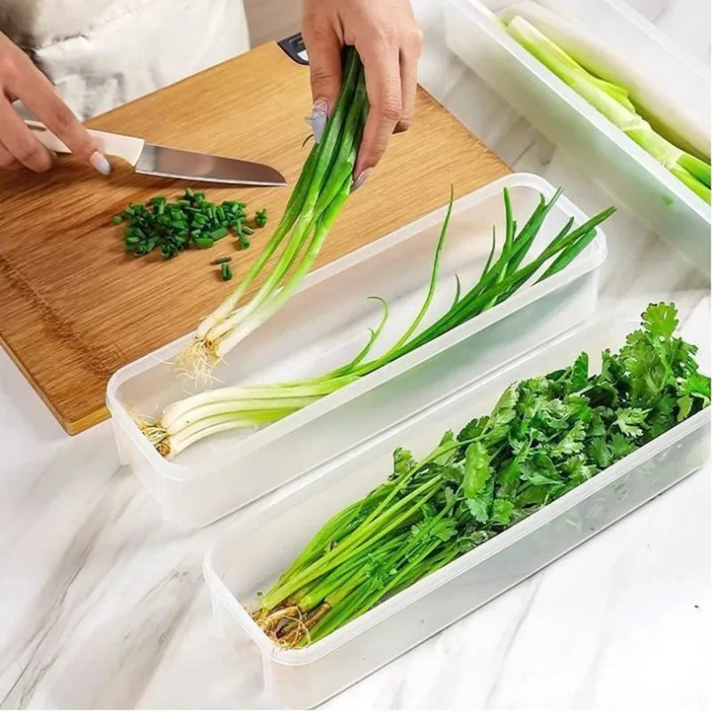25cm Green Onion Fresh-Keeping Storage Box Refrigerator Container with Lid – 1 Piece