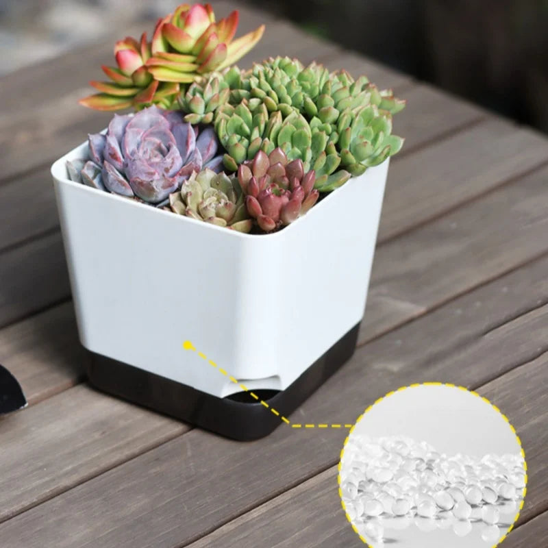 5 Pack Medium Self Watering Plant Pots with Drainage Hole and Clear Reservoir Saucers