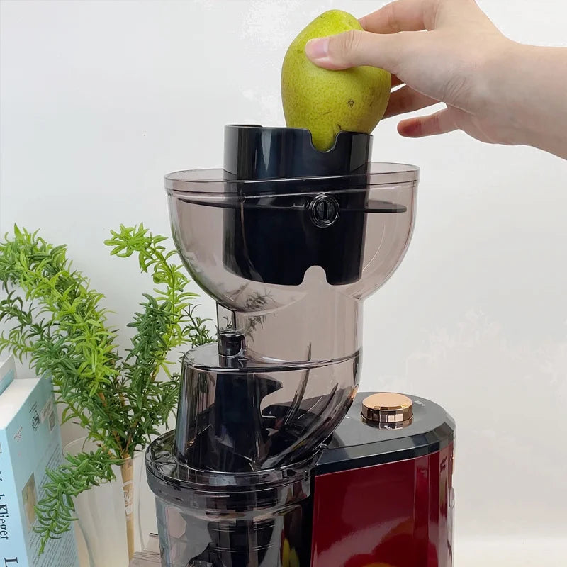 Slow Juicer 150W Large Caliber Juice Extractor with Pulp Separation - Orange