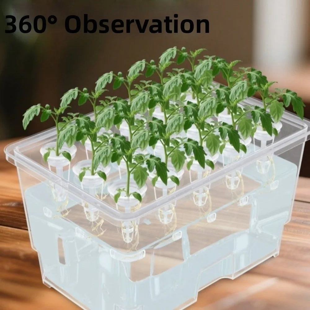15 Hole Hydroponic Growing System Kit Split Design Indoor Germination Box with Planting Baskets – Black