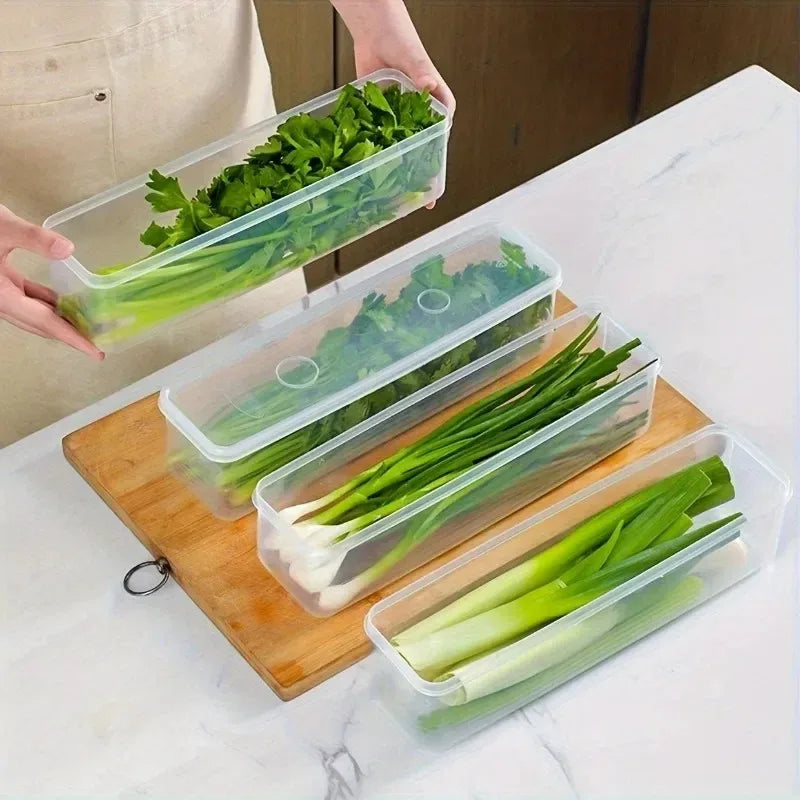 4-Piece 25cm Green Onion Fresh-Keeping Storage Box Refrigerator Container with Lids