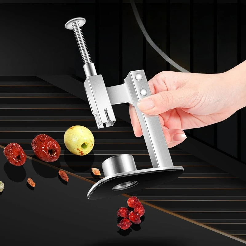 Stainless Steel Fruit Corer and Seed Remover Manual Cherry Olive Date Pitter Tool – Silver