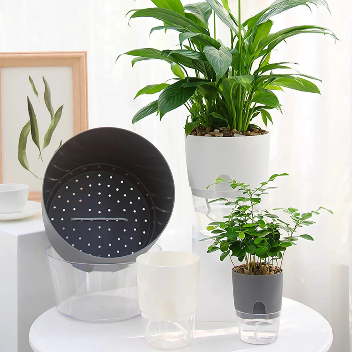 5Pcs Self Watering Planters Large L Wicking Flower Pots With Watering Bottle - Grey