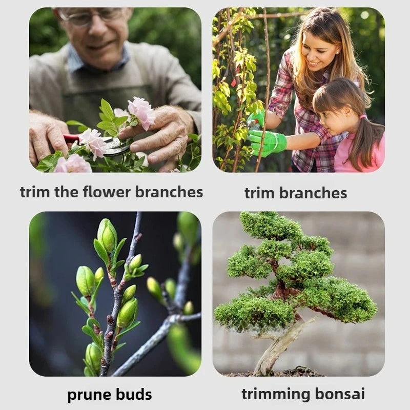 Bonsai Pruning Shears Set – 7-Piece Hand Pruner Scissors for Gardening & Tree Trimming