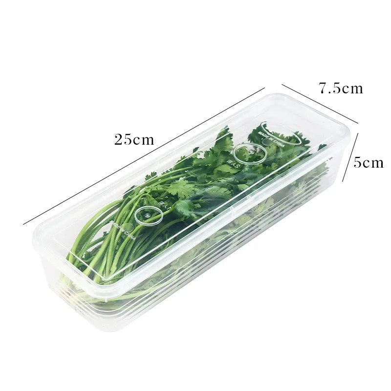 4-Piece 25cm Green Onion Fresh-Keeping Storage Box Refrigerator Container with Lids