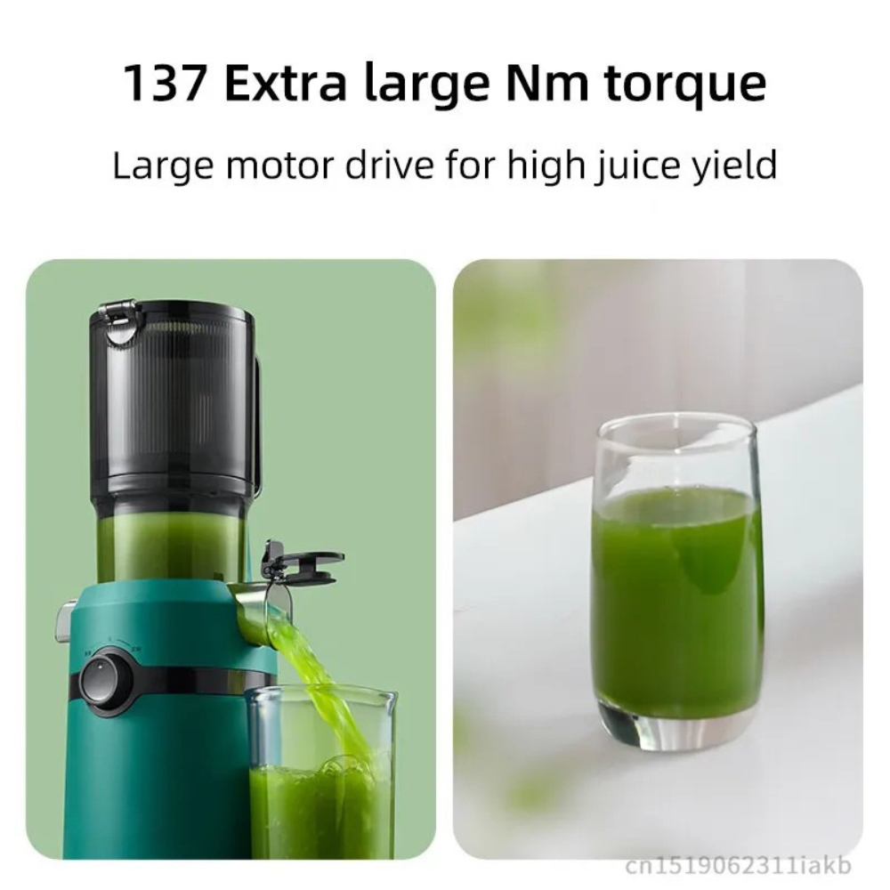 Slow Juicer 200W Large Caliber 10.8cm Automatic Pulp Separation 1L - Grey