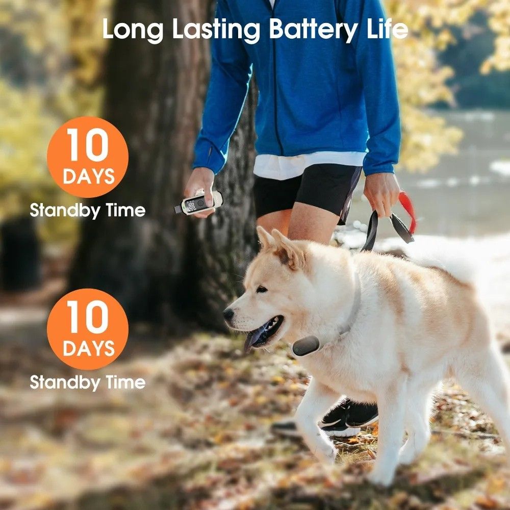 Dog Training Collar Rechargeable Waterproof Remote Trainer 600 m Range with Adjustable Beep and Vibration Levels